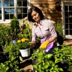 How to Maintain an Eco Friendly Garden